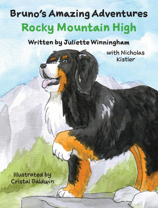 Knjiga Rocky Mountain High Juliette Winningham