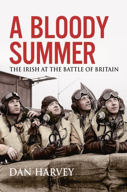 Knjiga A Bloody Summer: The Irish at the Battle of Britain 