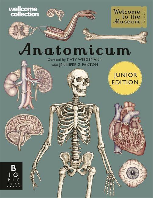Könyv Anatomicum Junior Jennifer Z Paxton