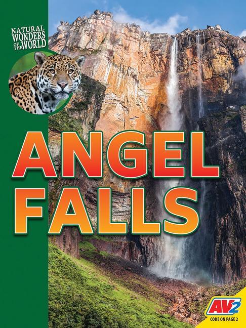 Kniha Angel Falls Galadriel Watson