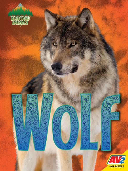 Knjiga Wolf Katie Gillespie