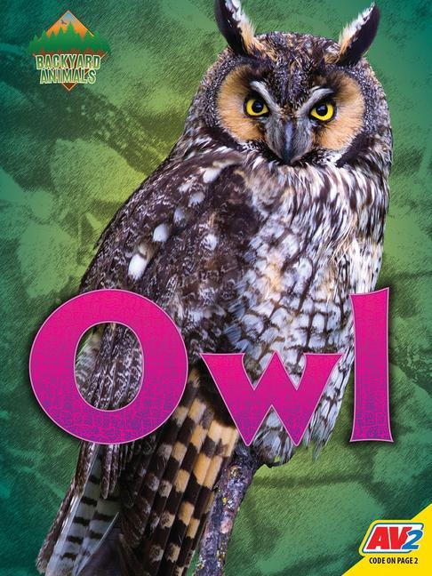 Knjiga Owl Nick Winnick