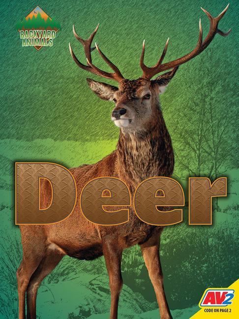 Knjiga Deer Christine Webster