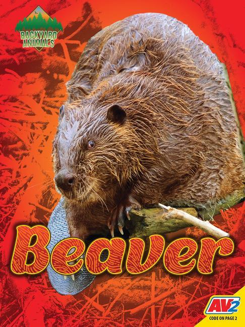 Knjiga Beaver Blaine Wiseman
