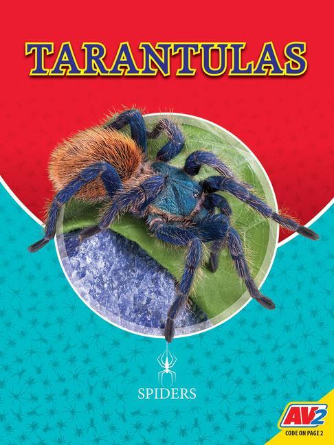 Kniha Tarantulas 