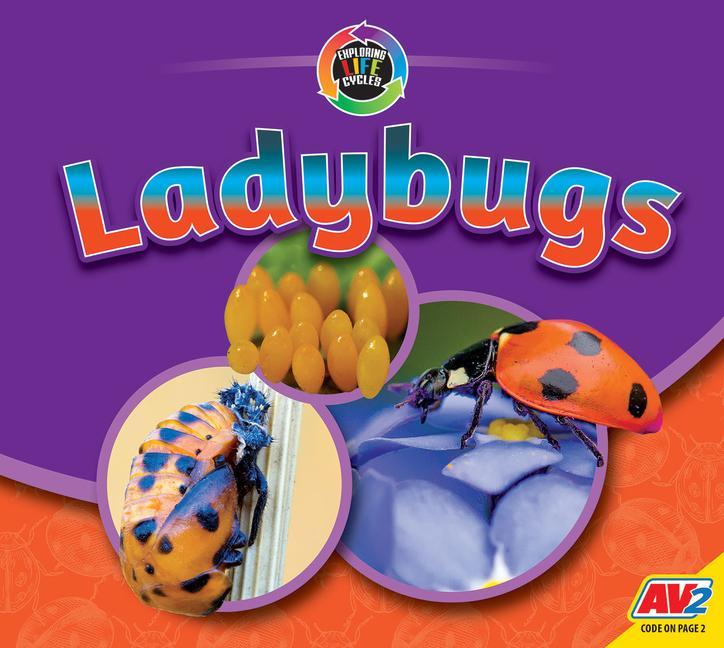 Knjiga Ladybugs Aaron Carr