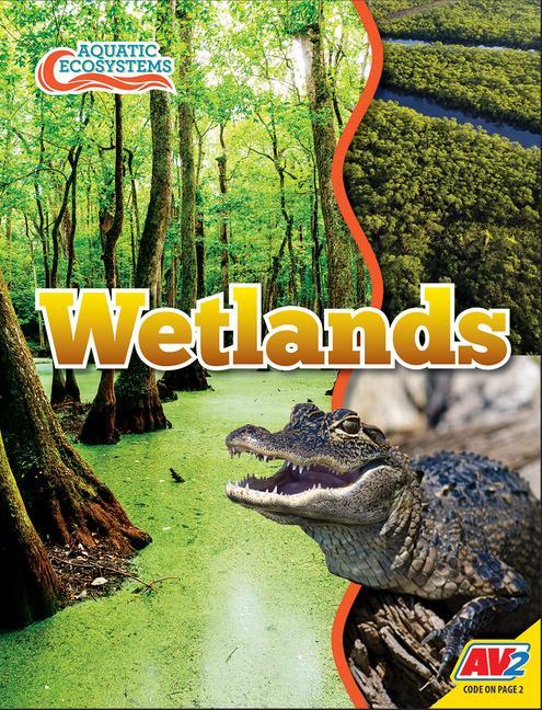 Knjiga Wetlands John Willis
