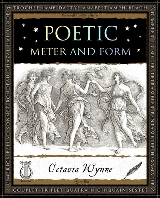 Kniha Poetic Meter and Form 