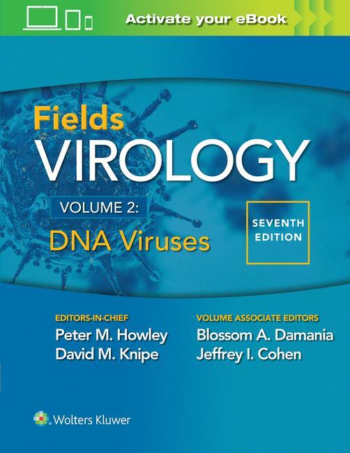 Buch Fields Virology: DNA Viruses 