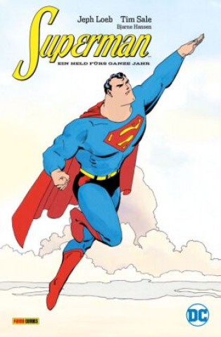 Könyv Superman: Ein Held fürs ganze Jahr 