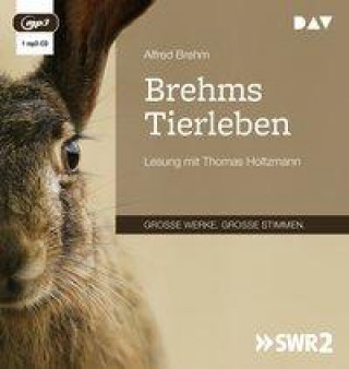 Digitalno Brehms Tierleben Thomas Holtzmann