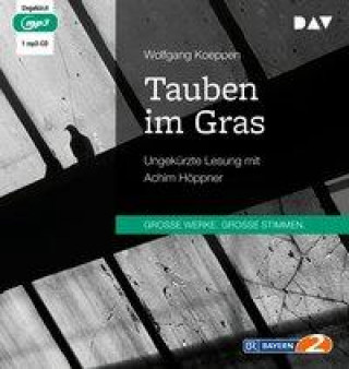 Digital Tauben im Gras Achim Höppner