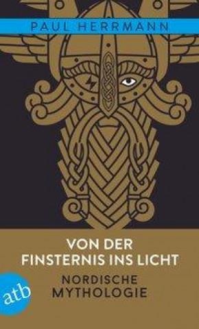 Kniha Von der Finsternis ins Licht - Nordische Mythologie Thomas Jung