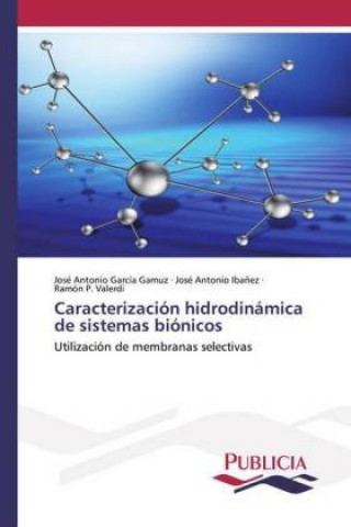Kniha Caracterizacion hidrodinamica de sistemas bionicos José Antonio García Gamuz