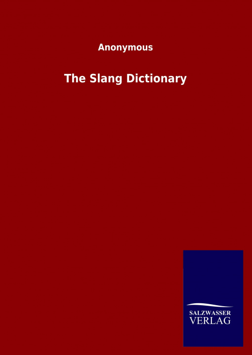 Kniha Slang Dictionary 