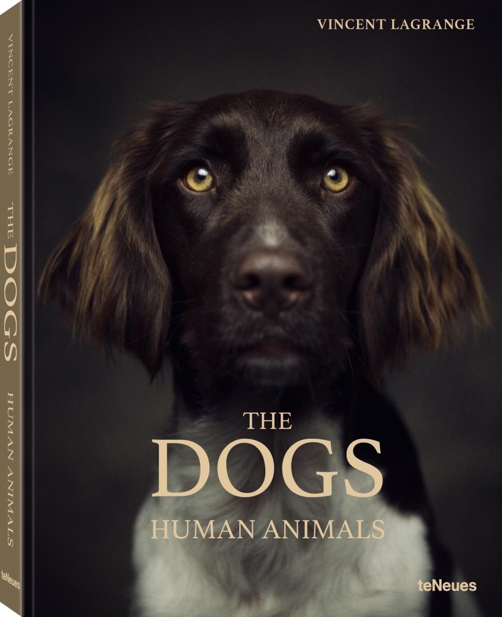 Kniha Dogs 