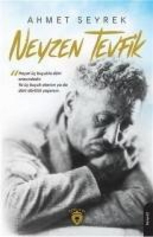 Knjiga Neyzen Tevfik 