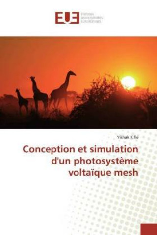 Könyv Conception et simulation d'un photosysteme voltaique mesh Yishak Kifle