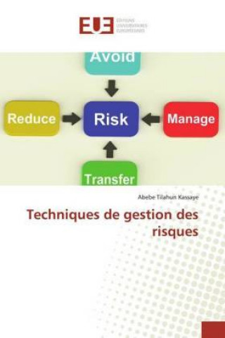 Knjiga Techniques de gestion des risques Abebe Tilahun Kassaye