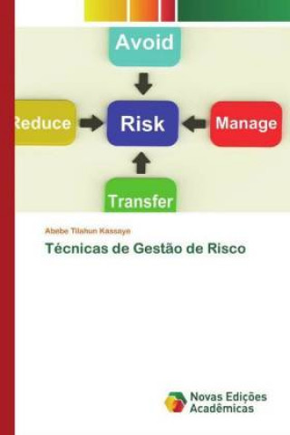 Knjiga Técnicas de Gestão de Risco Abebe Tilahun Kassaye