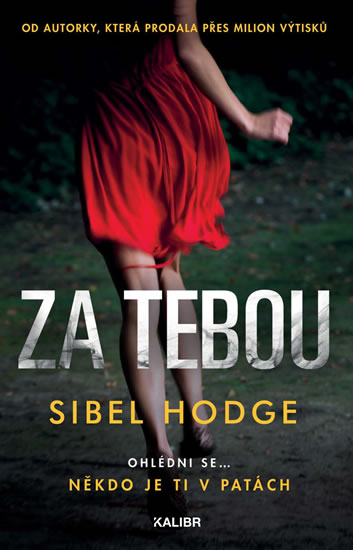 Kniha Za tebou Sibel Hodge