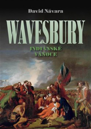 Könyv Wavesbury Indiánské Vánoce David Návara