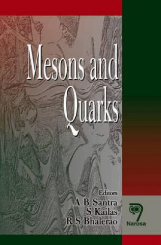 Buch Mesons and Quarks S. Kailas