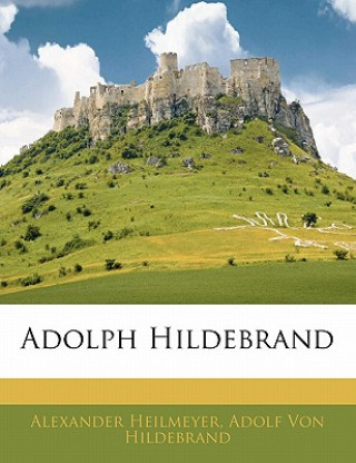 Libro Adolph Hildebrand Alexander Heilmeyer