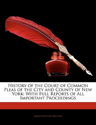 Kniha History of the Court of Common Pleas of the City and County of New York: With Full Reports of All Important Proceedings James Wilton Brooks