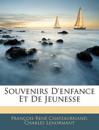 Kniha Souvenirs D'Enfance Et de Jeunesse Francois Rene De Chateaubriand