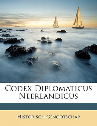 Boek Codex Diplomaticus Neerlandicus Historisch Genootschap