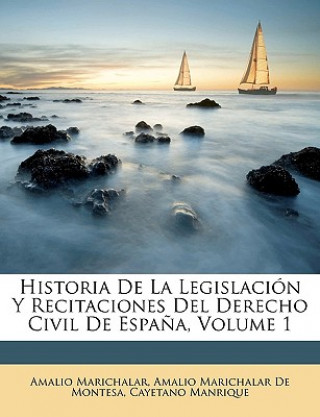 Kniha Historia De La Legislación Y Recitaciones Del Derecho Civil De Espa?a, Volume 1 Amalio Marichalar