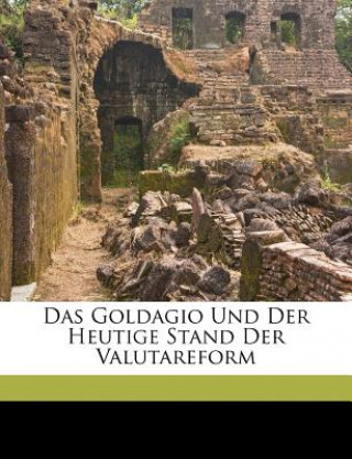 Książka Das Goldagio Und Der Heutige Stand Der Valutareform Carl Menger