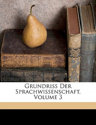 Książka Grundriss Der Sprachwissenschaft, Volume 3 Friedrich Mller