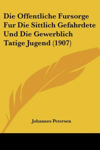 Könyv Die Offentliche Fursorge Fur Die Sittlich Gefahrdete Und Die Gewerblich Tatige Jugend (1907) Johannes Petersen