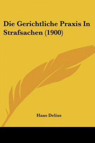 Kniha Die Gerichtliche Praxis In Strafsachen (1900) Hans Delius