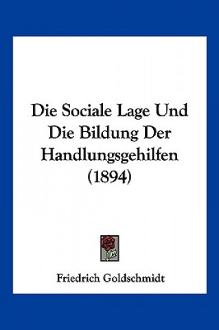 Könyv Die Sociale Lage Und Die Bildung Der Handlungsgehilfen (1894) Friedrich Goldschmidt