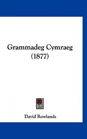 Kniha Grammadeg Cymraeg (1877) David Rowlands