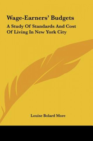 Книга Wage-Earners' Budgets: A Study of Standards and Cost of Living in New York City Louise Bolard More