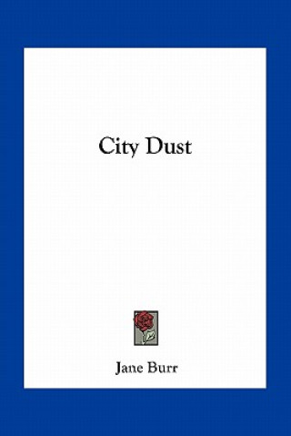 Kniha City Dust Jane Burr