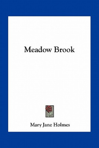 Kniha Meadow Brook Mary Jane Holmes