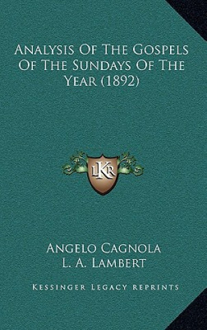 Kniha Analysis of the Gospels of the Sundays of the Year (1892) Angelo Cagnola