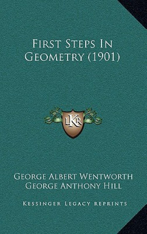 Libro First Steps in Geometry (1901) George Wentworth