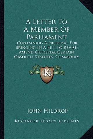 Kniha A Letter To A Member Of Parliament: Containing A Proposal For Bringing In A Bill To Revise, Amend Or Repeal Certain Obsolete Statutes, Commonly Called John Hildrop