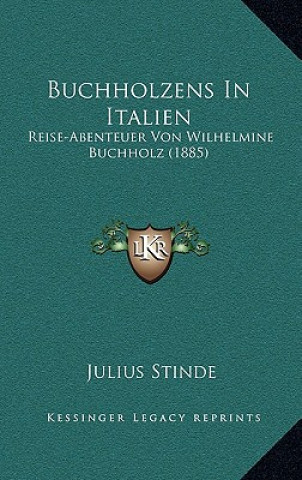 Książka Buchholzens In Italien: Reise-Abenteuer Von Wilhelmine Buchholz (1885) Julius Stinde