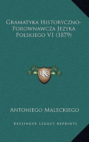 Kniha Gramatyka Historyczno-Porownawcza Jezyka Polskiego V1 (1879) Antoniego Maleckiego