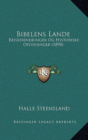 Kniha Bibelens Lande: Reiseerindringer Og Historiske Oplysninger (1898) Halle Steensland