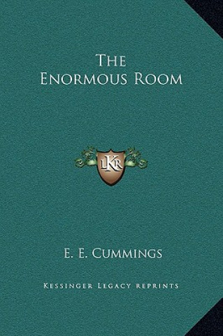 Kniha The Enormous Room E. E. Cummings