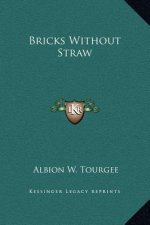 Bricks Without Straw