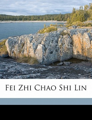 Libro Fei Zhi Chao Shi Lin Weicheng Jiang